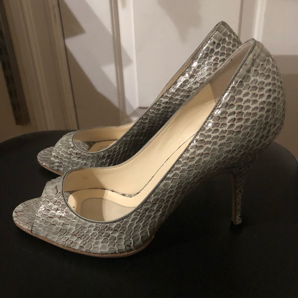 I’m a Greying Python - Picture 3 of 5